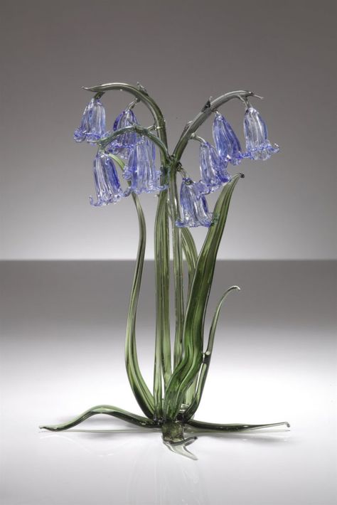 Bluebells – Sandra Young Glass Bluebell Wedding, Dinny Hall, Alien Plants, Swarovski Crystal Figurines, Glass Painting Patterns, Unique Glassware, Blue Bell Flowers, Fused Glass Artwork, Wedding Backdrop Design