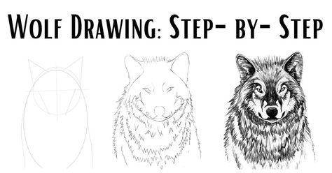 Wolve's are magnificent creatures and are one of my favorite animals by far. In this article, I have included two tutorials to help you do your own wolf drawing. Animal Art Drawing, How To Paint A Wolf, How To Draw Werewolf Step By Step, How To Paint A Wolf Step By Step, Easy Objects To Draw, How To Draw A Wolf Howling, Wolf Head Drawing, Wolf Acrylic Painting Tutorial, Cartoon Wolf