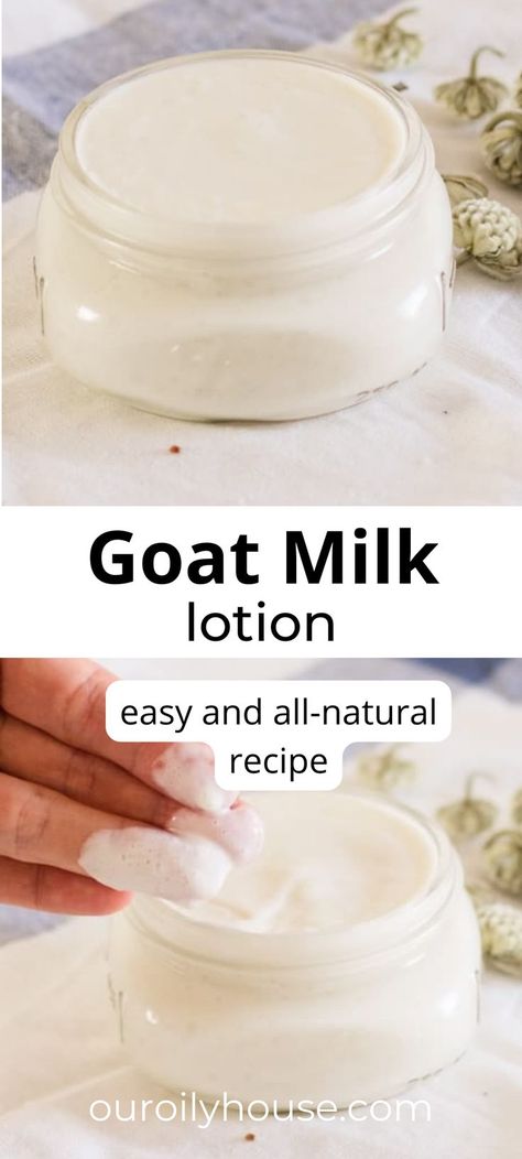 This easy goat milk lotion recipe is amazing for the skin, super moisturizing, and creamy. Made with raw goat’s milk, shea butter, and coconut oil, this lotion is great for all skin types. Goat Milk Lotion Recipe, Milk Lotion Recipe, Easy Goat Milk Soap Recipe, Chapstick Recipe, Goat Milk Body Butter, Our Oily House, Goat Milk Soap Recipe, Homemade Goat Milk Soap, Goat Milk Lotion