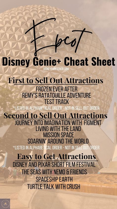 Disney Travel Agent Marketing Ideas, Disneyworld 2024, Disney October, Disney Travel Agent, Disney Genie, Disney Trip Surprise, Disney World Secrets, Disney Florida, Disney Travel Agents