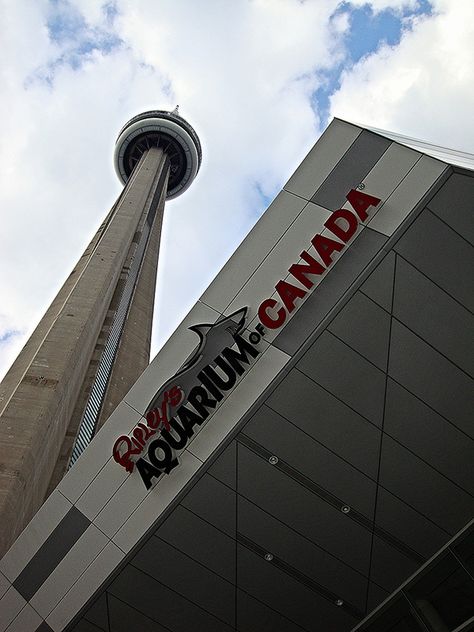 CN Tower is right next door to Ripley's Aquarium, as you can plainly see. On the other side of the tower is Skydome(Rogers Centre). Down the street to the east is the Air Canada Centre. Ripleys Aquarium Toronto, Ripleys Aquarium, Rogers Centre, Air Canada, The Tower, Toronto Ontario, Historic Buildings, Next Door, The East