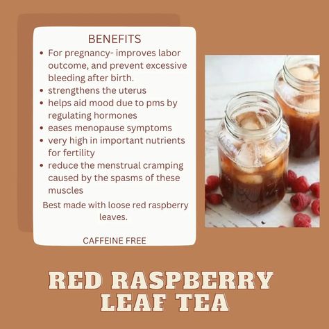 Raspberry Tea Benefits, Raspberry Leaf Benefits, Red Clover Tea Benefits, Red Raspberry Leaf Benefits, Red Raspberry Leaf Tea Benefits, Benefits Of Raspberry Leaf Tea, Raspberry Leaf Tea Recipe, Dates And Red Raspberry Leaf Tea, Raspberry Hibiscus Tea Benefits