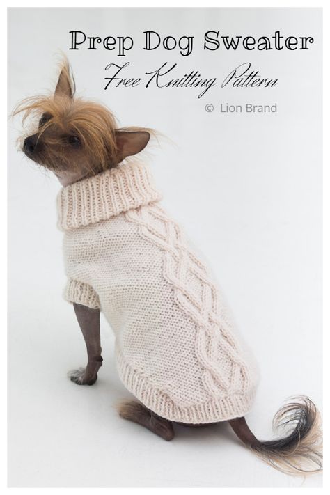 Knit Dog Sweater Free Knitting Patterns - Knitting Pattern Dog Jumper Knitting Pattern, Cat Sweater Knitting Pattern, Knitting Patterns For Dogs, Dog Jacket Patterns, Knitted Dog Sweater Pattern, Knitting Patterns Free Dog, Dog Coat Pattern, Dog Sweater Crochet Pattern, Dog Sweater Pattern