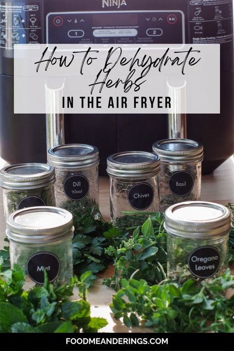 dehydrated herbs in jars with fresh herbs in front and air fryer in background Dehydrate In Air Fryer, Dehydrating In Air Fryer, Dehydrate Herbs, Drying Thyme, Dehydrating Herbs, Dehydrator Recipes Fruit, Drying Fresh Herbs, Dehydrated Apples, Harvesting Herbs