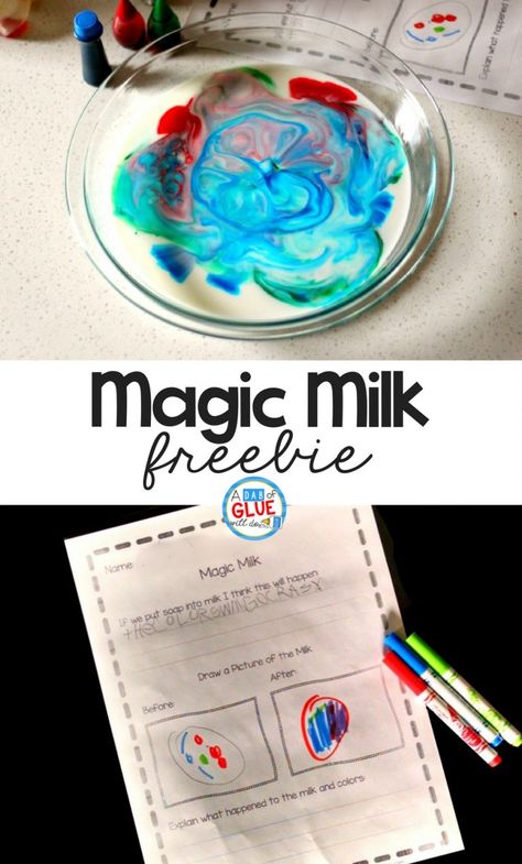 Have you ever wanted to try the Magic Milk experiment? We have and now my kids can play an active role with this printable results recording sheet! This is a fun experiment that your kids will love. :: www.thriftyhomeschoolers.com Magic Milk Experiment, Experiments For Preschoolers, Milk Experiment, Milk Ideas, Milk Science Experiment, January Kindergarten, Magic Milk, First Grade Freebies, Preschool Sensory