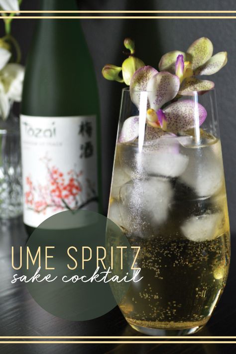 Plum sake spritz? Yes, please!! #sakespritz #spritz #spritzcocktails #happyhour #tozai #umespritz #sakecocktails Plum Sake Cocktail, Sake Cocktail, Easy Summer Cocktails, Spritz Cocktail, Creative Cocktails, Flavored Sparkling Water, Plum Wine, Creative Cocktail, Drinks Alcohol