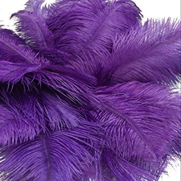 Amazon.com: Lanpeed 10pcs Ostrich Feathers 18-20 inch (45-50cm) for Home Wedding Party Decoration (Gold): Arts, Crafts & Sewing People Eater, Home Wedding Party, Sparkle Wallpaper, Purple Themes, Purple Love, All Things Purple, Fur Fabrics, Wedding Party Decorations, Ostrich Feathers