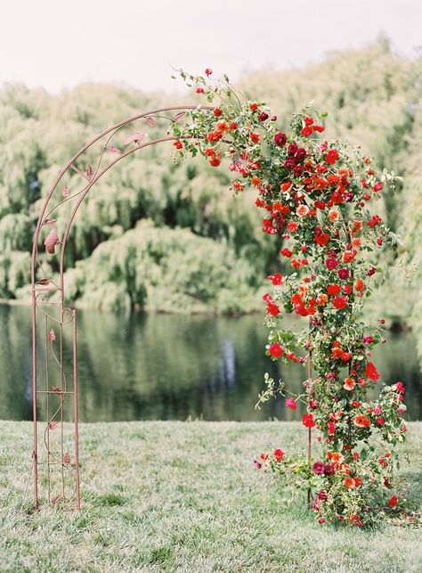 Kelsey and Michael's Olympia's Valley Estate wedding, wedding ceremony, bold floral design, red arbor, colorful wedding Spring Wedding Decorations, Wedding Ceremony Arch, Outdoor Wedding Inspiration, Ceremony Design, Wedding Arch Flowers, Wedding Arbour, Wedding Ceremony Backdrop, Garden Wedding Decorations, Spring Wedding Inspiration