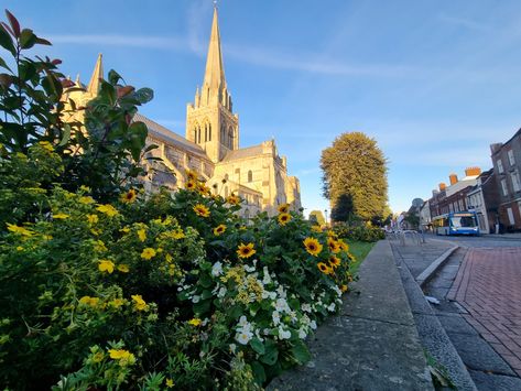 https://flic.kr/p/2qjb83S | Chichester Cathedral | In Chichester Chichester Cathedral, Chichester, Local Area, The Locals, Travel