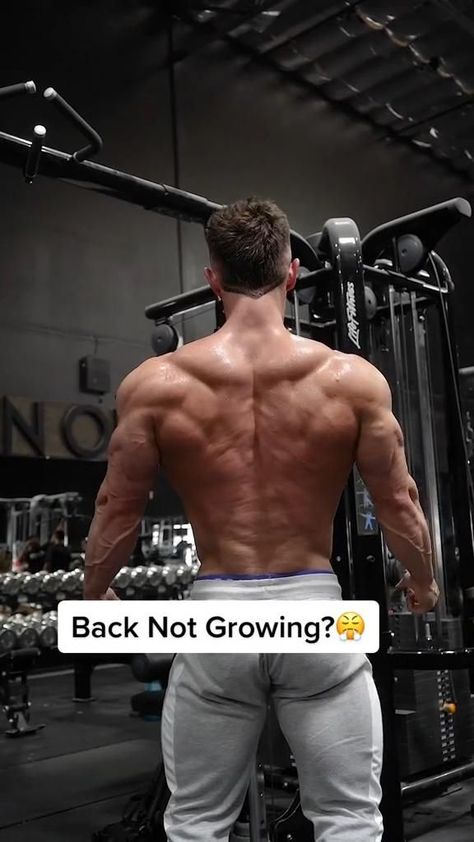 Click On The Link In My Bio To Discover Body Building Secrets! in 2022 | Back workout, Gymnastics workout, Workout videos Back Workout Bodybuilding, Back Workout Men, Gym Back Workout, Back Workout Routine, Back Day Workout, Bodybuilding Workouts Routines, Bodybuilding Workout Plan, Workout Training Programs, Gym Workouts For Men