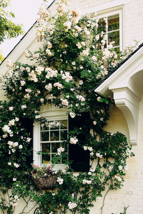 Table set-up, love the touches of gold. More نباتات منزلية, Secret Gardens, Have Inspiration, Climbing Roses, Garden Cottage, Rose Garden, Dream Garden, My Dream Home, Flower Wall