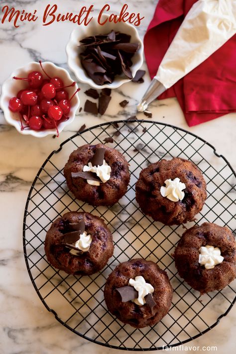 Black Forest Miniature Bundt Cakes Sweet and decadent, these mini cakes are the perfect treat. Forest Cakes, Forest Miniature, Cheesecake Brownie Bars, Mini Bundt Cakes Recipes, Strawberry Cake Easy, Mini Bundt, Sweetened Whipped Cream, Mini Bundt Cakes, German Recipes