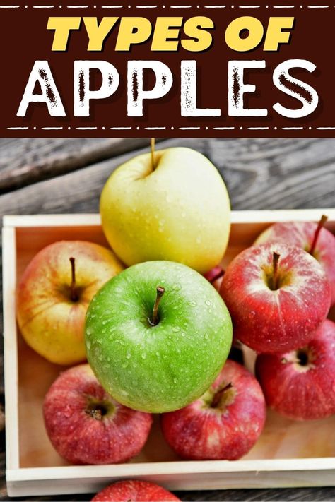 These different types of apples are all healthy and delicious! From gala to honeycrisp to fuji and pink lady, each variety is sure to delight. Types Of Apples And Uses, Pink Lady Apple Recipes, Pink Lady Apples Recipes, Fuji Apple Recipes, Apple Chart, Jonathan Apples, Types Of Apples, Mcintosh Apples, Golden Delicious Apple