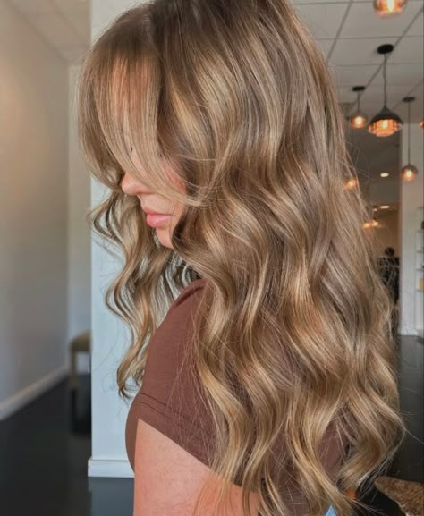 Neutral Dark Blonde Hair, Biscuit Blonde Hair, Biscuit Hair, Warm Light Brown Hair, Best Fall Hair Colors, Warm Bronde, Light Brunette Hair, Rambut Brunette, Honey Brown Hair