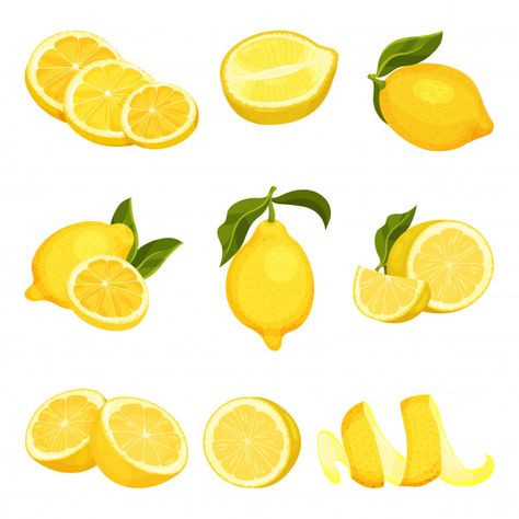 Lemon Vodka Drinks, Freeze Lemons, Lemon Drinks, Lemon Cleanse, Freezing Lemons, Lemon Pictures, Lemon Drawing, Lemons And Limes, Lemon Set