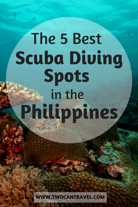 Best Scuba Diving Spots in the Philippines   Do you love SCUBA diving? The Philippines has some of the most incredible dive sites in the world! From stunning coral reefs teeming with life, to historic wrecks, there is endless adventure to have under the sea in the Philippines. Scuba Diving Bucket List, Diving Photos, Beautiful Philippines, Scuba Diving Quotes, Philippines Travel Guide, Scuba Diving Photography, Friends Trip, Traveling Ideas, Scuba Diving Equipment