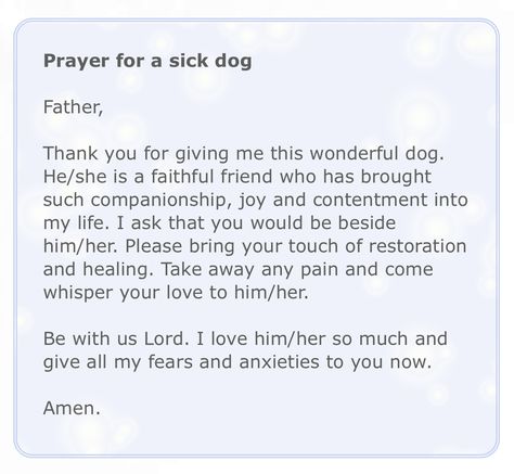 Prayers For Pets Dogs, Sick Dog Quotes, Sick Pet Quotes, Prayers For Health And Healing For Pets, Prayer For Sick Dog, Prayers For Sick Pets Dogs, Sick Puppies, Sick Dog, Simple Prayers