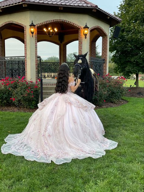 Quinceanera Theme Dress, Photoshoot Quinceanera Ideas, Quince Pics With Horses, Pink Glitter Quince Dress, Red Quince Photoshoot, Light Pink 15 Dresses Quinceanera, Beach Quinceanera Pictures, Quince Rancho Theme, Center Piece Quinceañera