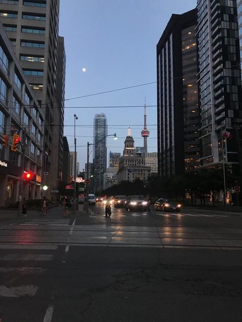 Canada Vibes Aesthetic, Canada City Aesthetic, Canada Night View, Uoft Aesthetic, Toronto City Aesthetic, Downtown Toronto Aesthetic, Toronto Canada Aesthetic, Down Town Toronto, Downtown Canada