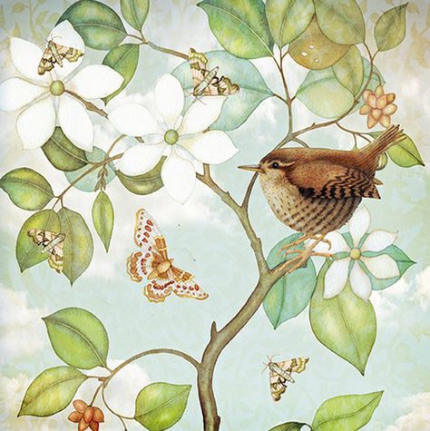 Wren Illustration, Woodland Birds Illustration, Fairy Wren Bird, British Birds Illustration, Fairy Wren Painting, Kate Green, Wren, Flower Clipart, Bird Illustration