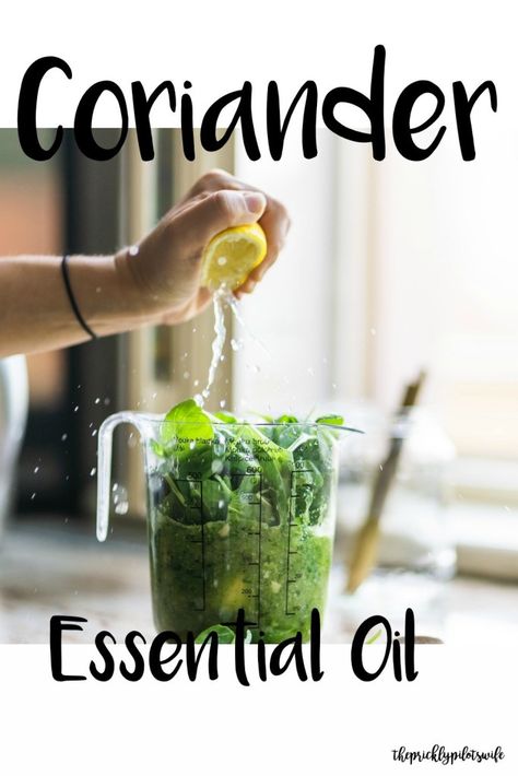 Coriander Essential Oil - Uses and Benefits - The Prickly Pilot's Wife Essential Oil Recipes Diffuser Sleep, Coriander Essential Oil, Clearing Skin, Coriander Oil, Crunchy Mom, Diy Essential Oil Recipes, Doterra Essential Oils Recipes, Essential Oils For Kids, Young Living Essential Oils Recipes