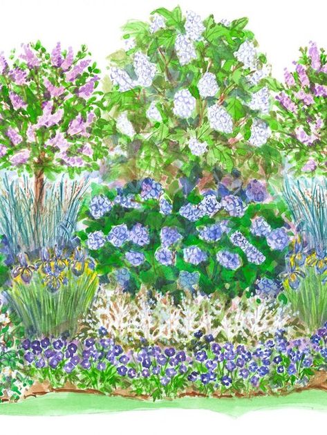 Garden Plan Hydrangea, Part Sun Cottage Garden, Front Shade Garden, Perrenial Shade Garden Plans, Part Shade Garden Plans, Simple Shade Garden, Privacy Garden Plan, Hydrangea Garden Plan, Perennial Shade Garden Layout