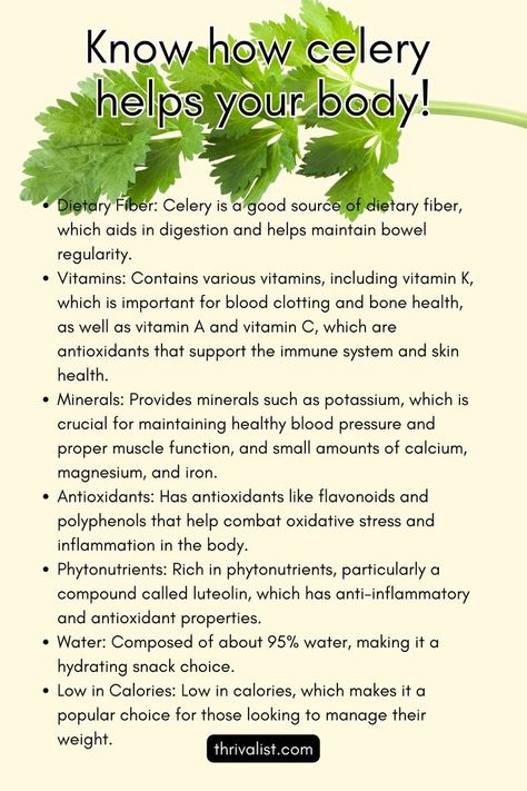 Celery! Why you should have it in your juice! Celery Nutrition Facts, School Snack, Healthy Blood Pressure, A Balanced Diet, Vitamin K, Food Facts, Bone Health, Dietary Fiber, Emergency Preparedness