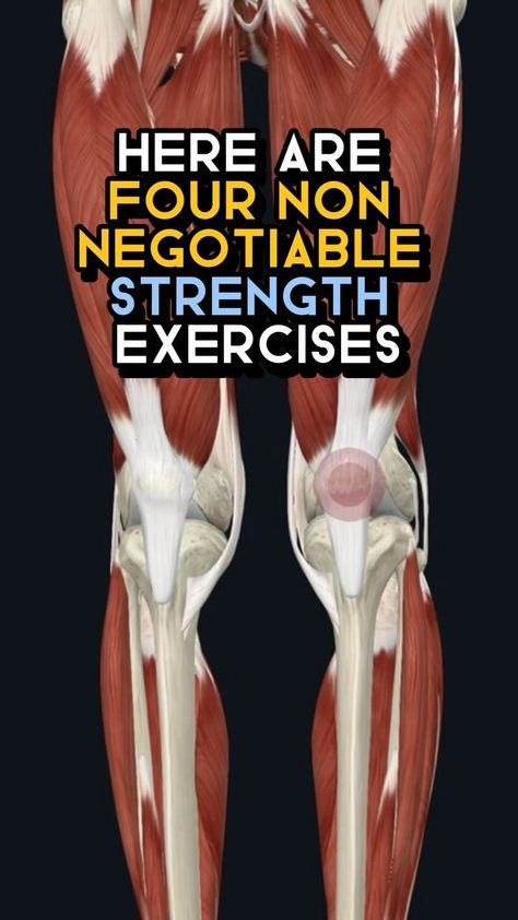 Coach Milad and Ryan ▪️Fitness and Nutrition Coach | Comment below if you need modifications ⬇️ Strengthening the knees for longevity involves exercises that target the muscles and structures... | Instagram Quads Strengthening Exercises, Strengthen Thigh Muscles, Inner Knee Fat Exercises, Knee Pull Ins, Quad Strengthening Exercises, Spanish Squats, Skating Exercises, Knee Injury Workout, Vmo Exercises