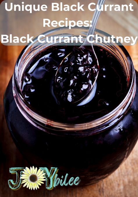 Black Currant Syrup, Dried Black Currant Recipes, Black Currant Cheesecake, Black Currant Jam, Black Currant Recipes, Currant Bush, Black Currant Juice, Currant Recipes, Mead Recipe