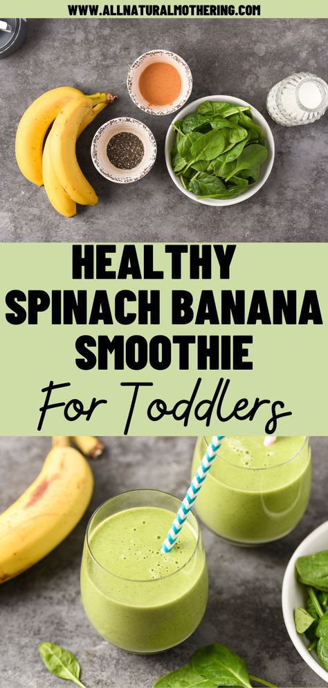 green smoothie Banana Spinach Peanut Butter Smoothie, Spinach Breakfast Smoothie, Spinach Smoothie Recipes For Kids, Smoothie With Spinach And Fruit, Baby Spinach Smoothie Recipes, Healthy Smoothies For Toddlers, Spinach Banana Smoothie Recipes, Spinach Toddler Recipes, Smoothie For Toddler