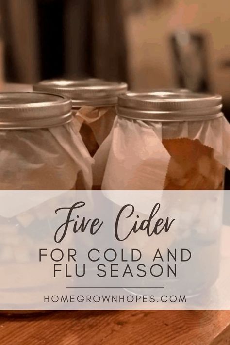 Make DIY fire cider with apple cider vinegar, honey, garlic, and turmeric for a natural, immune-boosting remedy. Perfect as a daily tonic, zesty salad dressing, or thoughtful homemade gift. This step-by-step guide highlights the benefits of fire cider and shows you how to create a quick, easy jar of wellness packed with herbs and powerful ingredients for gut and immune health. Apple Cider Vinegar When Sick, Canning Fire Cider, Holistic Remedies For Cough, Mexican Cold Remedies, Apple Cider Vinegar Drink For Colds, Homemade Fire Cider, Whiskey Cough Remedy Honey, How To Make Fire Cider, Diy Fire Cider