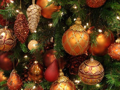 Orange Christmas interiors | Recent Photos The Commons Getty Collection Galleries World Map App ... Orange Christmas Tree, Christmas Decor Trends, Copper Christmas, Orange Christmas, Gold Christmas Decorations, Christmas Photography, Colorful Christmas Tree, Decorations Christmas, Gold Christmas