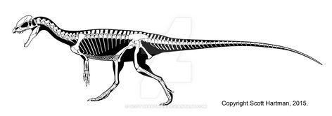 Utahraptor Skeleton, Diplodocus Skeleton, Allosaurus Skeleton, Dilophosaurus Skeleton, Pachycephalosaurus Skeleton, Dinosaur Drawing, Very Scary, Skeletal, Dinosaur Art