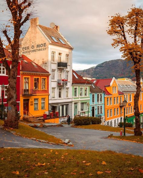 gisipen on X: "Bergen, Norway 🇳🇴 https://t.co/nPVKlAoQCx" / X Norway Aesthetic, Bergen Norway, Visit Norway, Norway Travel, House Illustration, World View, Fall Photos, Scandinavia, Beautiful Destinations