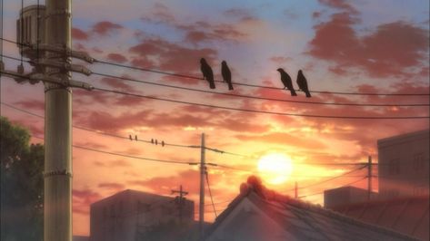 Photo Bleu, Twitter Header Pictures, Twitter Header Aesthetic, Twitter Header Photos, Haikyuu Karasuno, Haikyuu Wallpaper, Sunset Background, Header Pictures, Header Photo