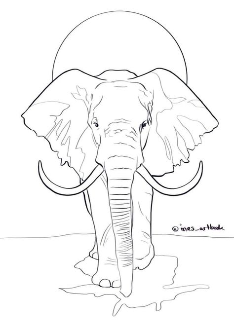 Elephant Outline, Elephant Sketch, Realistic Animal Drawings, Elephant Face, Cricut Stencils, African Paintings, Elephant Drawing, Outline Designs, Face Sketch