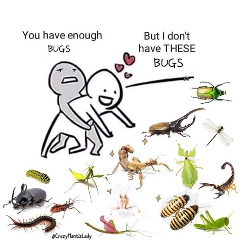 Cool Animagus Ideas, Bugs As Pets, Bug Pfp Aesthetic, Bug Profile Pictures, Bug Lover Aesthetic, Bug Fursona, Bug Pfp, Bugs Aesthetic, Bugs In Love