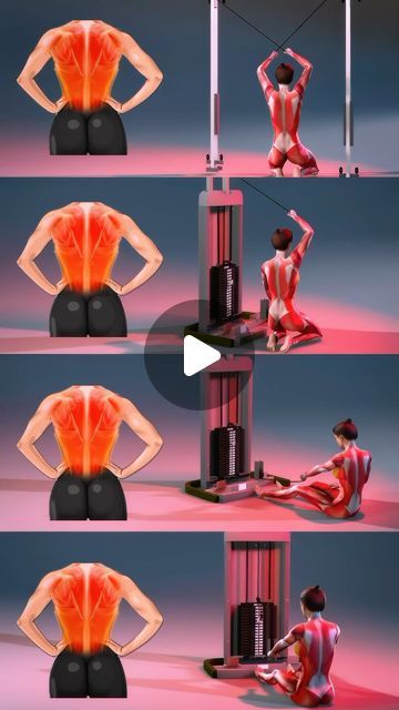 Middle Back Workout, Gym Program, Back Day, Back Muscles, Home Workout, Back Workout, Workout Apps, Weight Training, Workout Programs