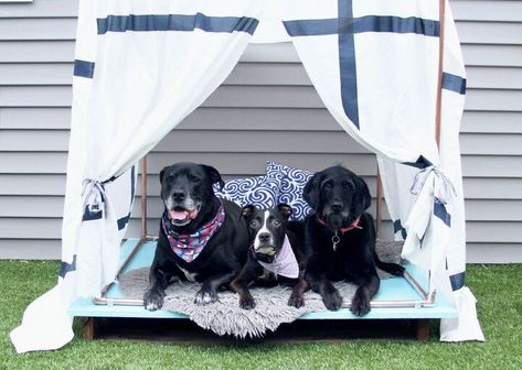 Even If You're Not a Dog Owner, These 27 DIYs Are Seriously SO Cute! Yard Aesthetic, Skjulte Rum, Dog Lounge, Outdoor Dog Bed, Diy Dog Bed, Dog Ramp, Dog Projects, Diy Dog, Outdoor Dog