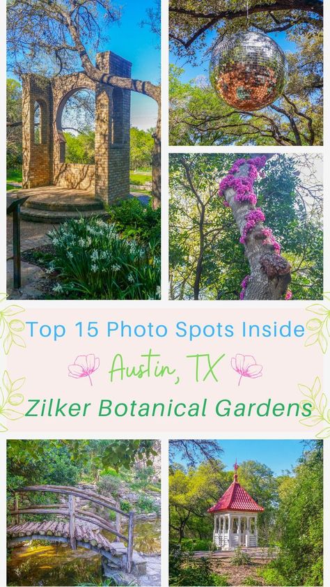 In this blog post I’ll break down the best photo spots to plan your photo shoot with a photographer inside Zilker Botanical Garden. Each one has its own vibe and provide different types of natural backdrops. At the bottom of the blog post there’s also answers to frequently asked questions about visiting and taking professional photos inside the gardens. #austin #zilkerpark #zilkerbotanicalgarden Zilker Botanical Garden, Austin Texas Travel, Dallas Travel, Austin Travel, Beach Romance, Botanical Gardens Wedding, Beautiful Travel Destinations, Garden Photography, Texas Travel