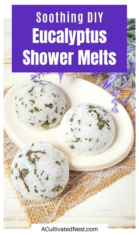 Eucalyptus Shower Melts, Shower Steamers Diy, Clear Your Sinuses, Diy Eucalyptus, Shower Fizzies, Shower Melts, Shower Tablets, Bath Melts, Dried Eucalyptus