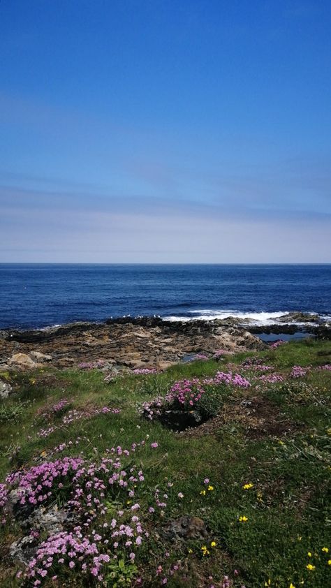 Scotland Beach Aesthetic, Scotland Honeymoon, 2025 Energy, Catching Flights Not Feelings, Scotland Aesthetic, Scottish Beach, Catching Flights, Hiking Places, Beach Flowers