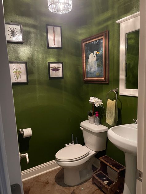 Behr Eastern Bamboo, Eastern Bamboo Behr Paint, Behr Deep Viridian, Rainforest Behr Paint, Green Paint Colors Behr, Green Wall Bathroom, Cottagecore Bathroom Ideas, Behr Green Paint Colors, Green Bathroom Colors