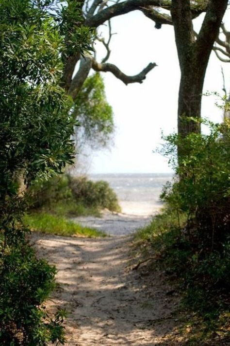 Jekyll Island Georgia Photography, Path To The Beach, Jekyll Island Georgia, Coastal Georgia, Travel Georgia, Beach Path, Driftwood Beach, Georgia Travel, Jekyll Island