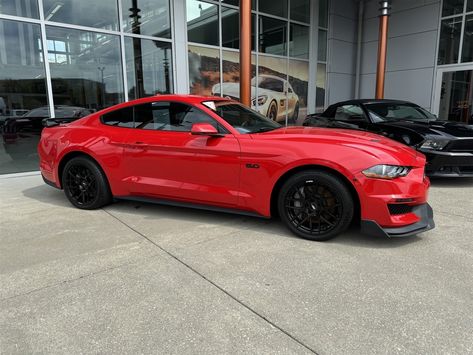 2021 FORD MUSTANG GT PREMIUM
1FA6P8CF9M5147968
(502) 447-3450 Mustang Gt Premium, 2017 Mustang, Mustang Wallpaper, Ford Mustang Gt, Mustang Gt, Ford Mustang, Dream Cars, Mustang, Ford