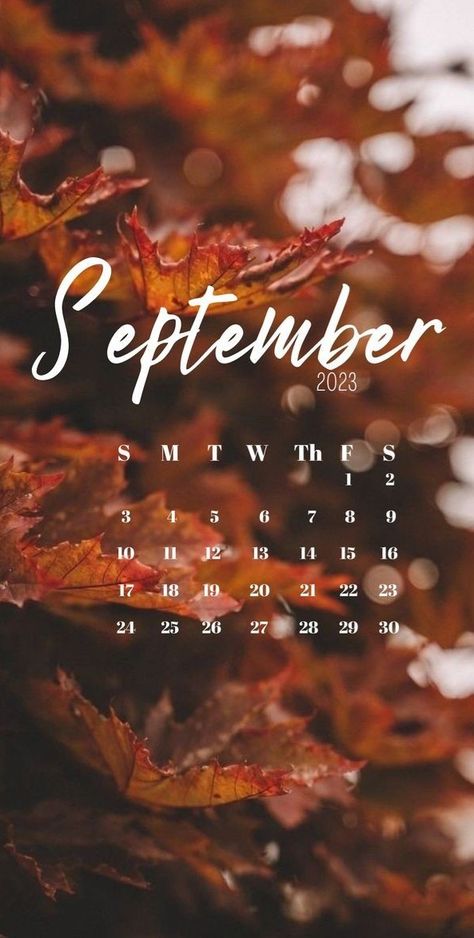 September Month Calendar 2023, September 2023 Wallpaper Iphone, Calender Wallpapers 2023, September 2023 Wallpaper, September 2023 Calendar Wallpaper, September Calendar 2023 Aesthetic, Calendar 2023 September, September Calendar 2023, September Kalender