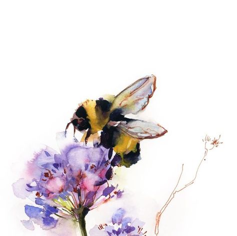 Sophie Rodionov Artist on Instagram: "Bumblebee on a flower Watercolor and ink on paper 🔸Gicleé Fine Art Prints, printed on watercolor archival 100% cotton paper or canvas with archival inks and based on my @canotstoppainting original paintings. 🔖 available in a various sizes from 5x7” to 30x40” framed and unframed via active link in a bio. #watercolordrawing #watercolourart #watercolorartwork #sketchpainting #aquarelleartist #watercolorispiration #watercolorpainting #watercolorartsketches # Bees And Flowers Painting, Bee Water Colour Painting, Bee And Flower Watercolor, Bumblebee Watercolor Paintings, Bumblebees Drawing, Bumble Bee Watercolor Paintings, Watercolor Bee Tutorial, Watercolor Bee Tattoo, Watercolor Honeybee