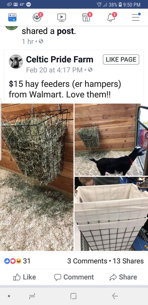 Diy Livestock Feeder, Diy Hay Feeder Rabbit, Bathroom Design Farmhouse, Boho Bathroom Design, Rabbit Colony, Goat Feeders, Sheep Feeders, Goat Life, Farm Vibes