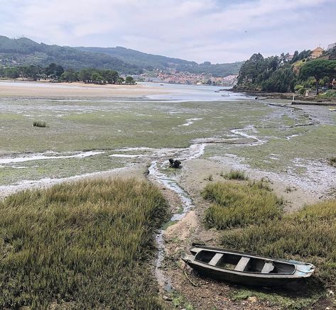 What do you REALLY need to know about the Portuguese Coastal Camino? Camino Portuguese, The Camino, Wind And Rain, Do You Really, Pilgrimage, Travel Experience, Tour Guide, You Really, Need To Know