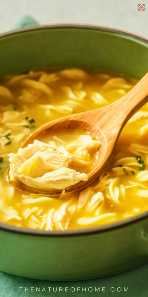 Satisfy your cravings with this Carnivore Chicken Noodle Soup! Loaded with protein and perfect for the carnivore diet, this hearty soup will keep you warm and full. With simple, meaty ingredients, it’s a nutritious, low-carb comfort food. Save this pin for an easy carnivore-friendly dinner idea! Easy Carnivore Diet Recipes, Proper Human Diet Recipes, Carnivore Egg Drop Soup, Few Ingredient Soup, Carnivore Chicken Soup, Carnivore Diet Soups, How To Start Carnivore Diet, Carnivore Recipes Simple, Carnivore Stew